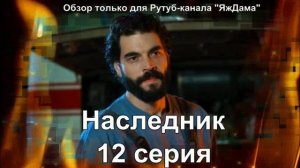 Впечатление от 12 серии турецкого сериала "Наследник"