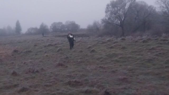 ❤️🔥Смоленские волонтеры спасли раненого лебедя смотреть онлайн