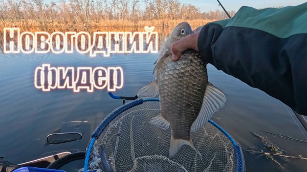 Новогодний фидер, рыбалка в конце декабря, ловля карася и леща