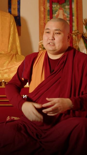 Ошибка на пути сострадания смотреть онлайн