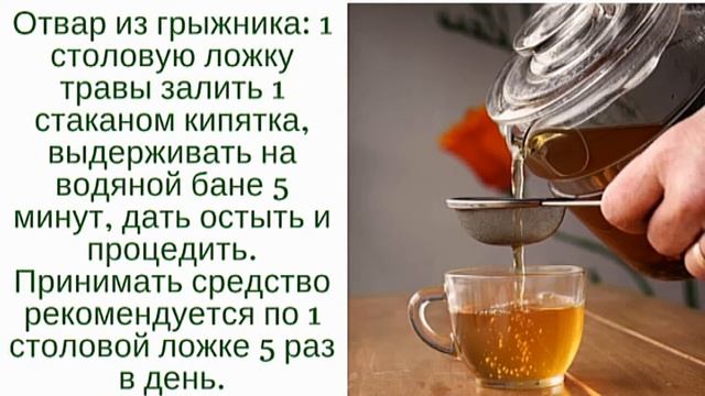 Грыжник трава (Остудник) при псориазе смотреть онлайн