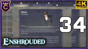 ШЁЛ ЗА ЛУПОЙ А НАШЁЛ СОБАКУ И МОЩНУЮ ДЕВУШКУ! 34 Enshrouded