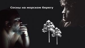 Сосны на морском берегу