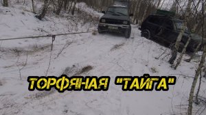 Торфяная "тайга"
