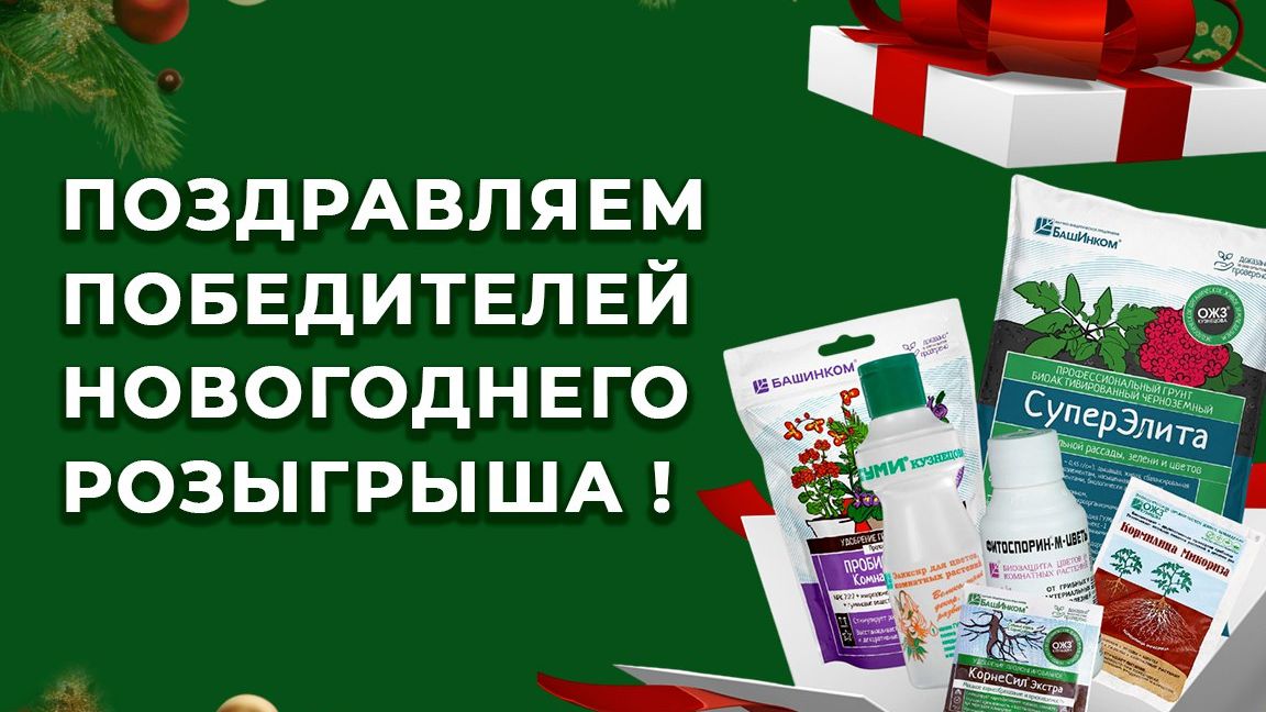 ПОБЕДИТЕЛИ РОЗЫГРЫША 26.12 смотреть онлайн