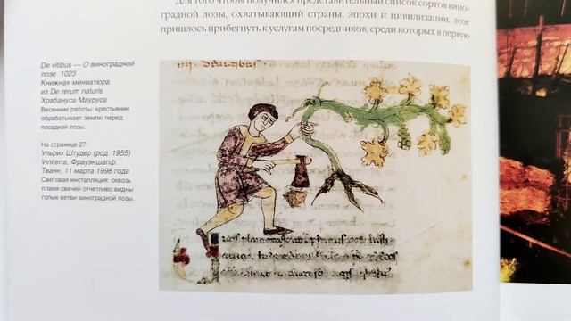 Напиток солнечной ягоды. История вина и виноделия смотреть онлайн