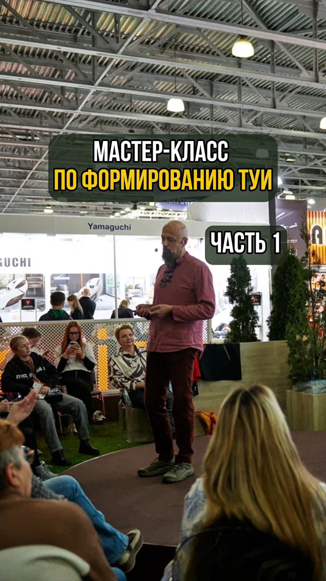 Мастер-класс по формированию туи. Часть 1 смотреть онлайн