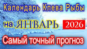 Прогноз клева рыбы на Январь 2026 года. Лунный календарь рыбака. Календарь рыбака на Январь 2026