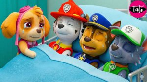 Щенячий патруль и Маршалл. Залипательное видео. Мультфильм для детей и малышей. Анимация 23