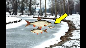 Где искать плотву зимой на реке?