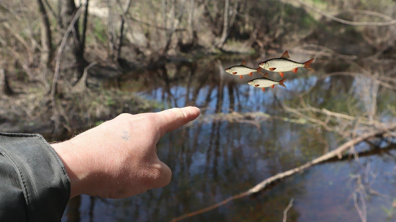 Как ловить плотву в марте апреле на реке? Есть 2 секрета как наловить много серебристой в это время смотреть онлайн
