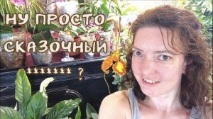 Белки и Психи. Правдивая История с Доказательствами.