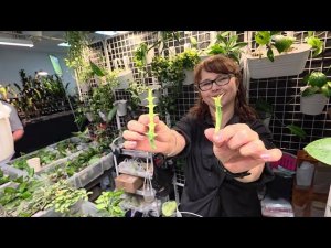 Выставка МОНСТЕРИУМ Осень 2025. Самый РАННИЙ до открытия