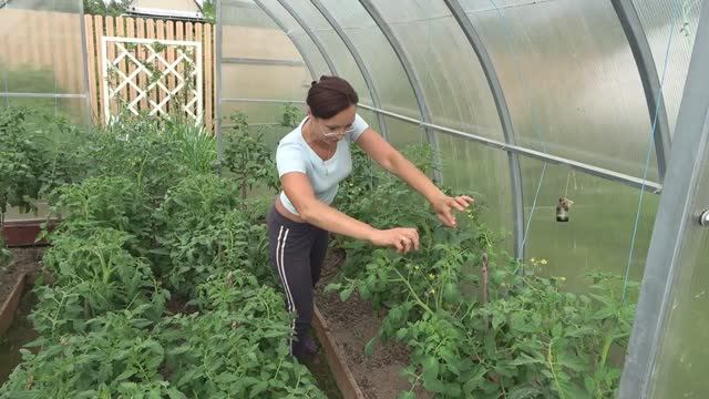 6 соток 14 июня 2021 года. Хроника. смотреть онлайн