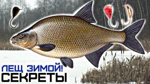 Как улучшить клёв леща зимой? Секреты ловли леща зимой! Прикормка леща зимой!