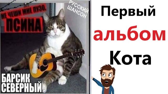 Приколы - МЕМЫ! КОТ ВЫПУСТИЛ АЛЬБОМ! Смешные видео - Доми шоу