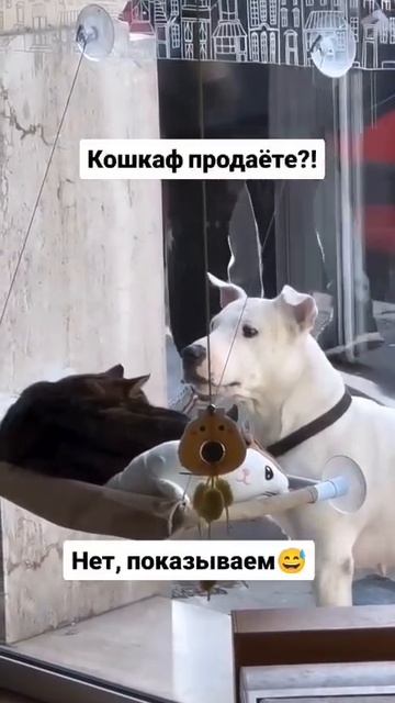 ?