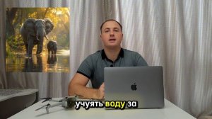 Слон находит воду