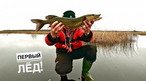 ДОЖДАЛИСЬ, ПЕРВЫЙ ОПАСНЫЙ ЛЁД , ЛОВЛЯ ЩУКИ НА ЖЕРЛИЦЫ НА ЛЮБИМОМ ОЗЕРЕ.