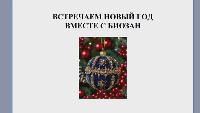 Встречаем Новый год правильно! Рекомендации по питанию с Биозан!!! смотреть онлайн