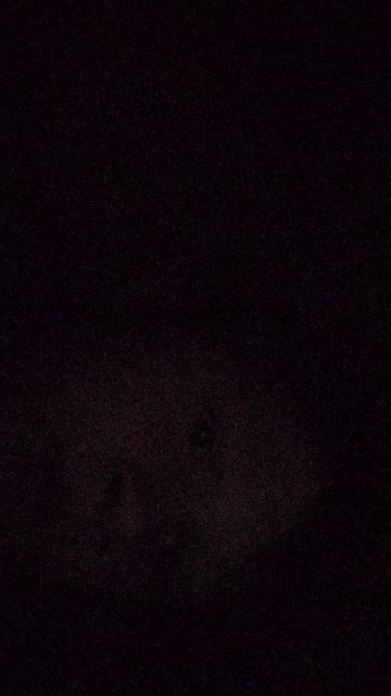 баги madout2 смотреть онлайн