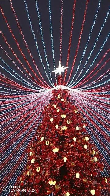 Barely  🌲елка