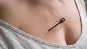 Интимная лирика в музыкальной форме — «Её губы тёплые»💋