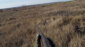 Охота на зайца.Два дня охоты!