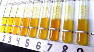 Сейчас мы знаем какое моторное масло лучше заливать!