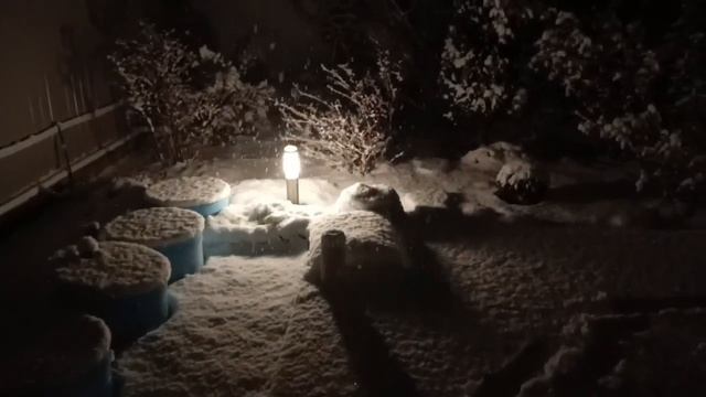 Новогодняя сказка! Снег на Кубани! смотреть онлайн