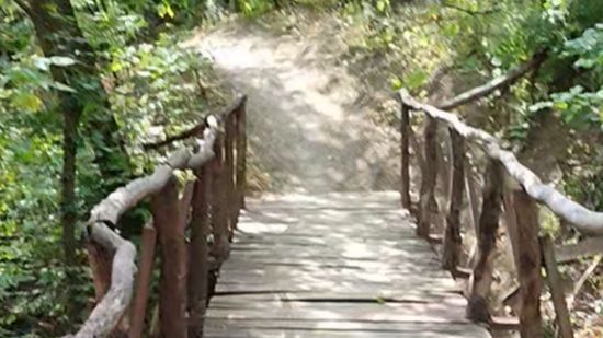 Деревянный мост в роще смотреть онлайн