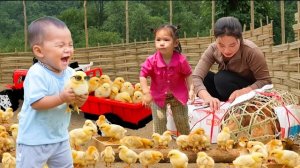 Ловим рыбу и измельчаем кукурузу вручную для продажи. Торговля на рынке и хозяйство. Дуонг