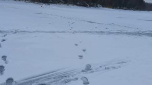 VID_20251227_100533.mp4