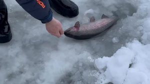 27.12.25 г.РК Волна.