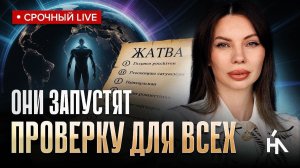 Осталась неделя. Поле начнёт вскрывать людей по 5 ключевым точкам. Анна Камаллая Хефорс