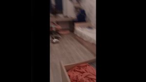 песня "любимые гуси"
song "favorite geese"