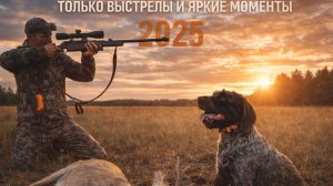 яркие моменты с охот на кабана,косулю,лося,зайца и утку 2025