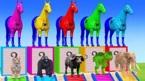 Веселые игры с слоном, гориллой, бегемотом, тигром - 3D игра с животными - Забавные 3D животные