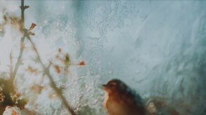 Пронзительный звонок ...