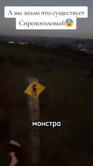 что ты такое