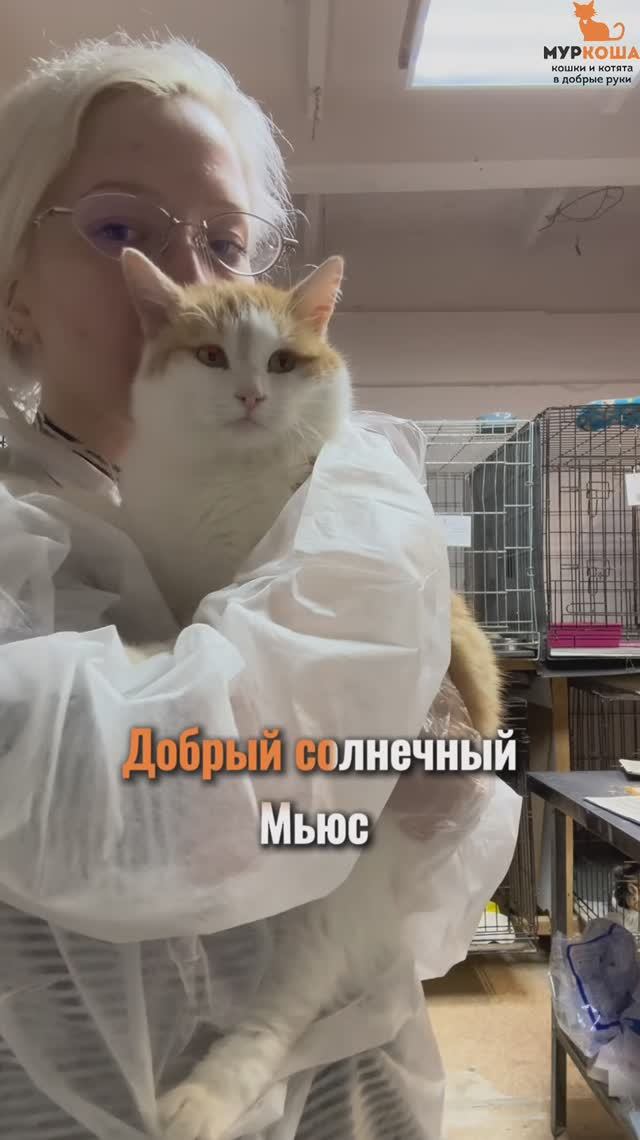 Мьюс (уже дома) смотреть онлайн