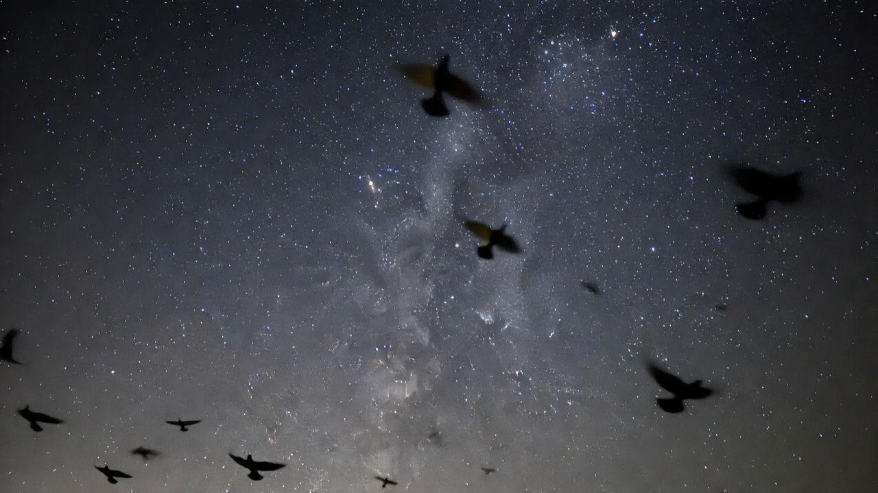 Пальцы звёзд касаются