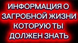 Что происходит с душами, оказавшимися в ловушке?