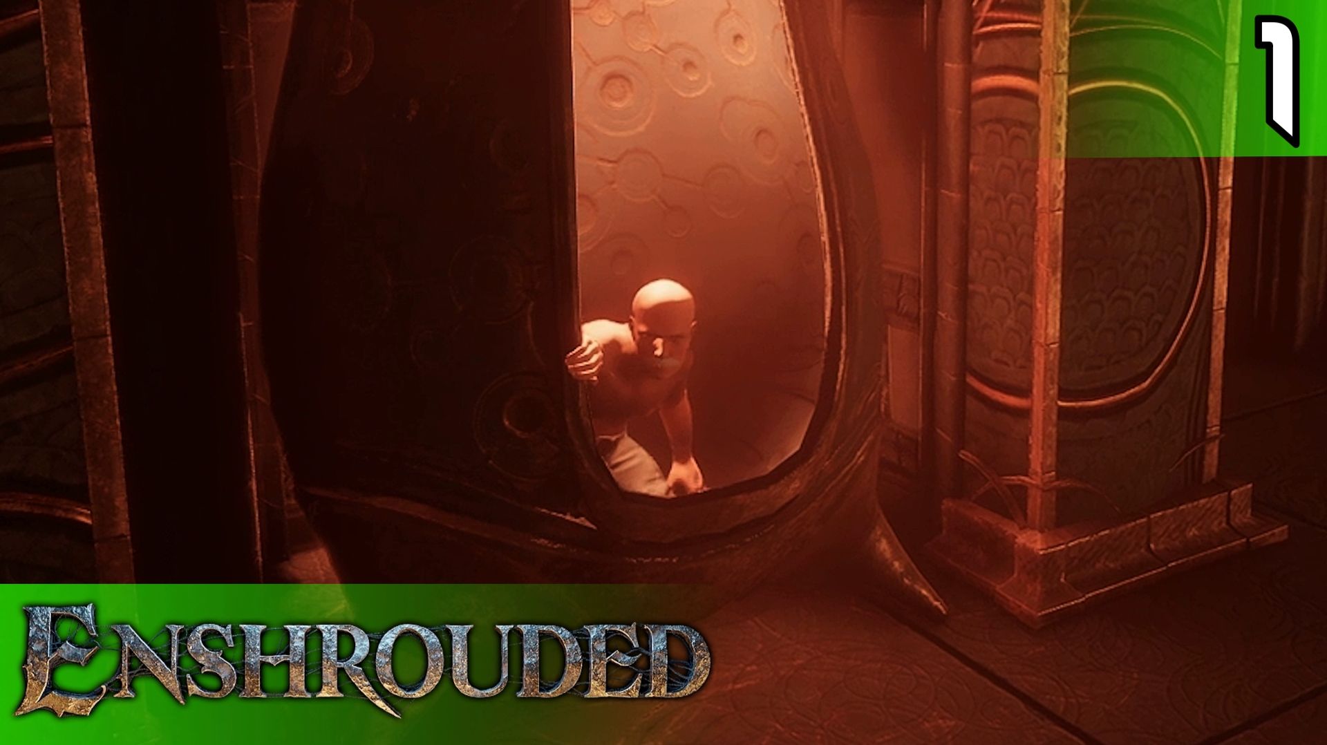 #1 НАЧАЛОСЬ | ENSHROUDED