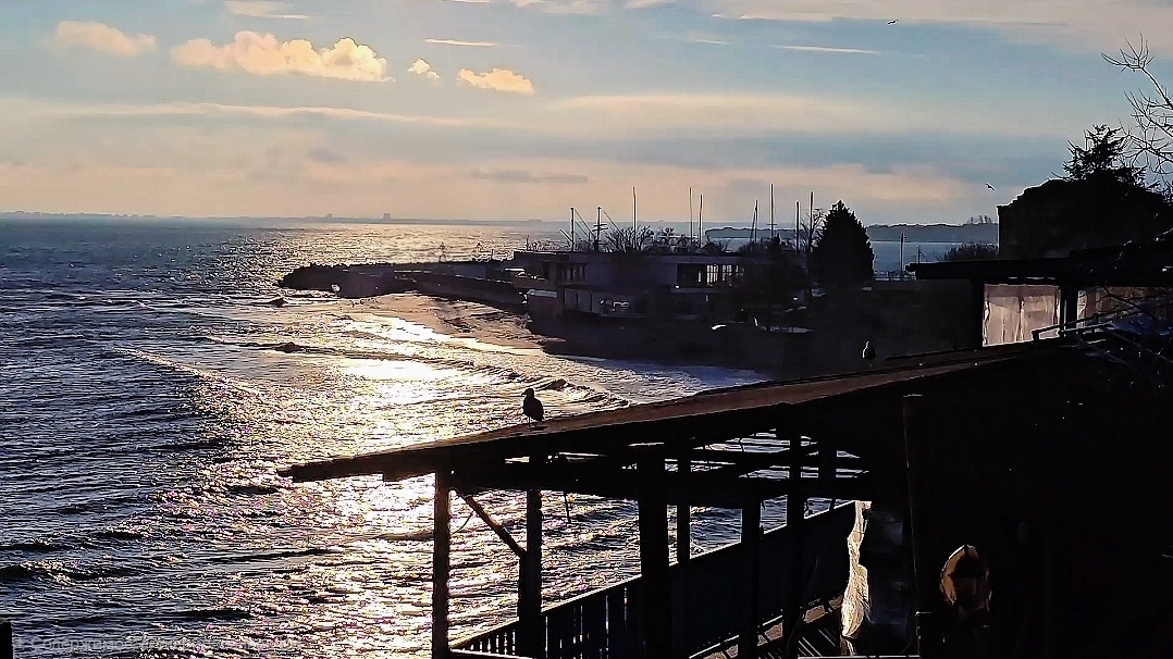 Жизнь в Болгарии | Надо знать как себя удивить🫣 смотреть онлайн