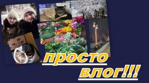 ВЛОГ: НИ О ЧЕМ))) ОХ УЖ ЭТИ ЖЕНЩИНЫ, ДАЖЕ ПУШИСТЫЕ...