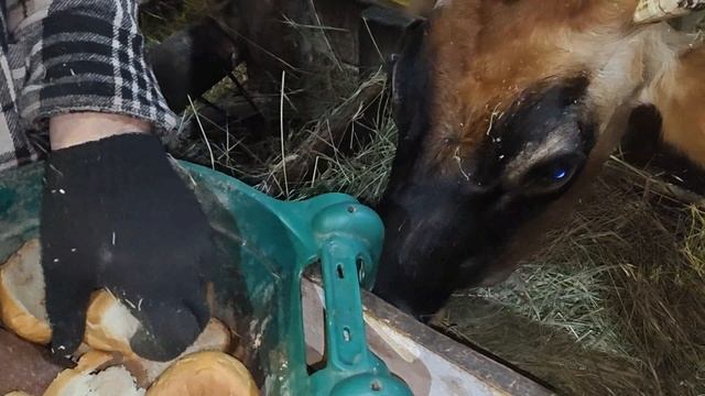 ЗИМНИЕ ПРОГУЛКИ ❄️❄️❄️❄️!