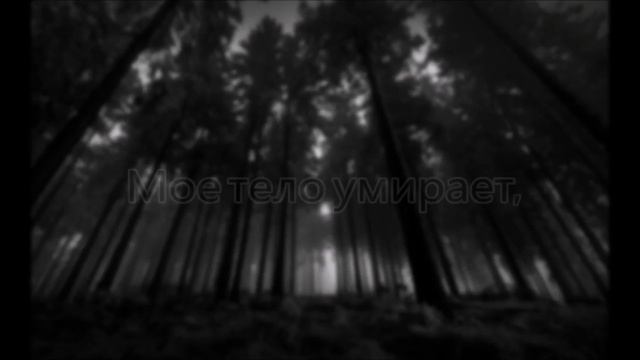 Mr.Kitty - 44 Days (RUS SUB - Lyrics) смотреть онлайн