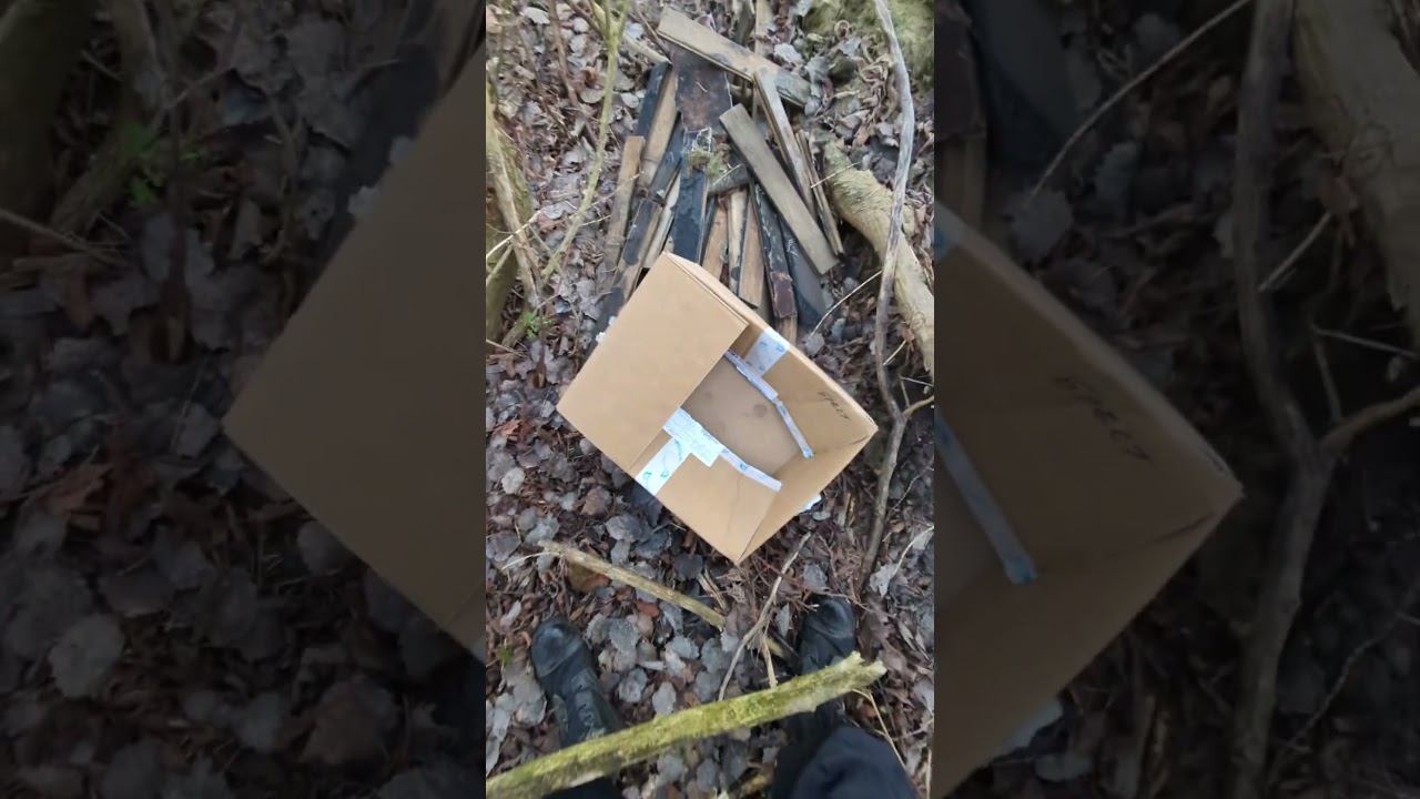 Анна с ГорВетСтанции - ваша коробка в лесу лежит. Нехорошо мусорить в Беларуси, уберите пожалуйста