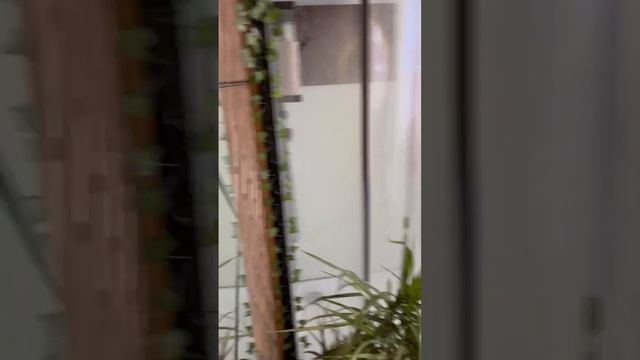 зимний Жюльверн